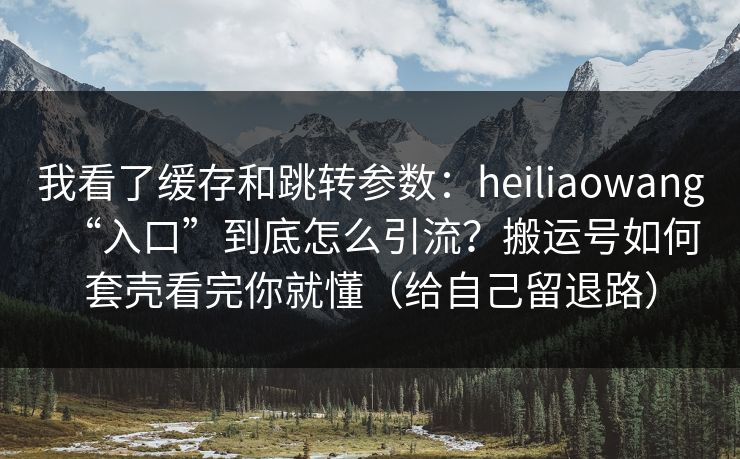 我看了缓存和跳转参数：heiliaowang“入口”到底怎么引流？搬运号如何套壳看完你就懂（给自己留退路）